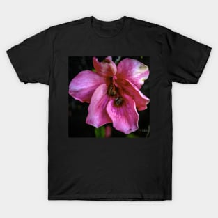 Pink Azalea with Snails T-Shirt